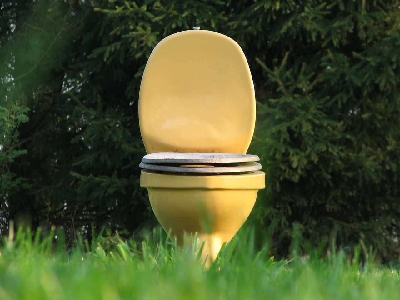 What Does The Toilet Mean In Your Dream? Luciding Dream Dictionary