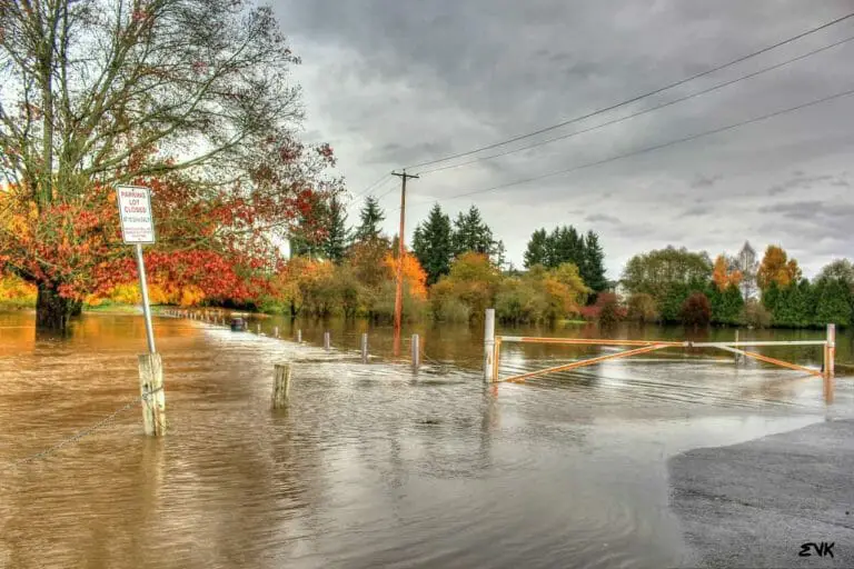 What Does A Dream About Your House Flooding Mean