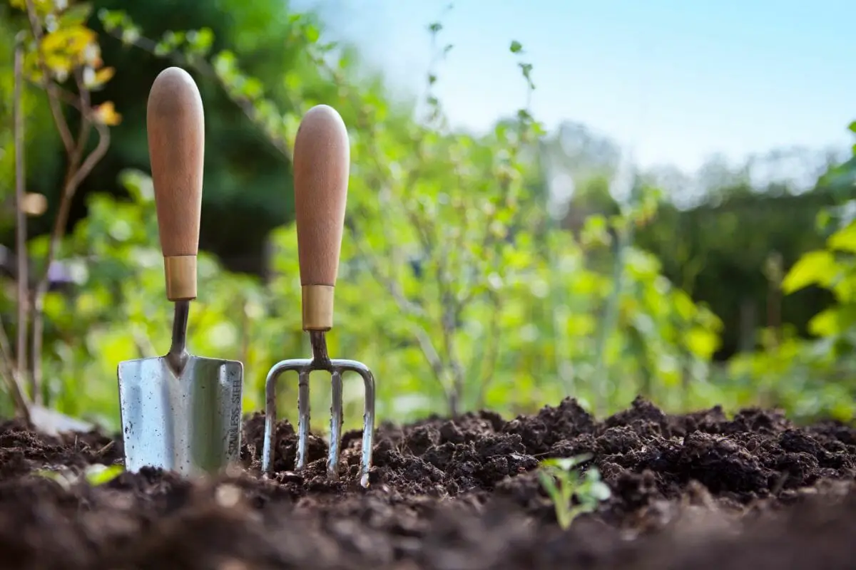 What Does Gardening Mean Slang